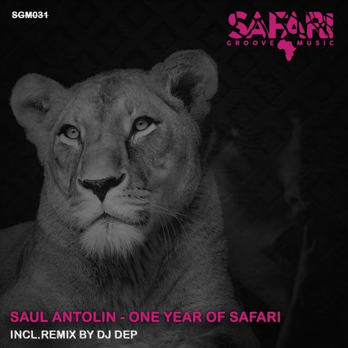 Saul Antolin - One Year of Safari